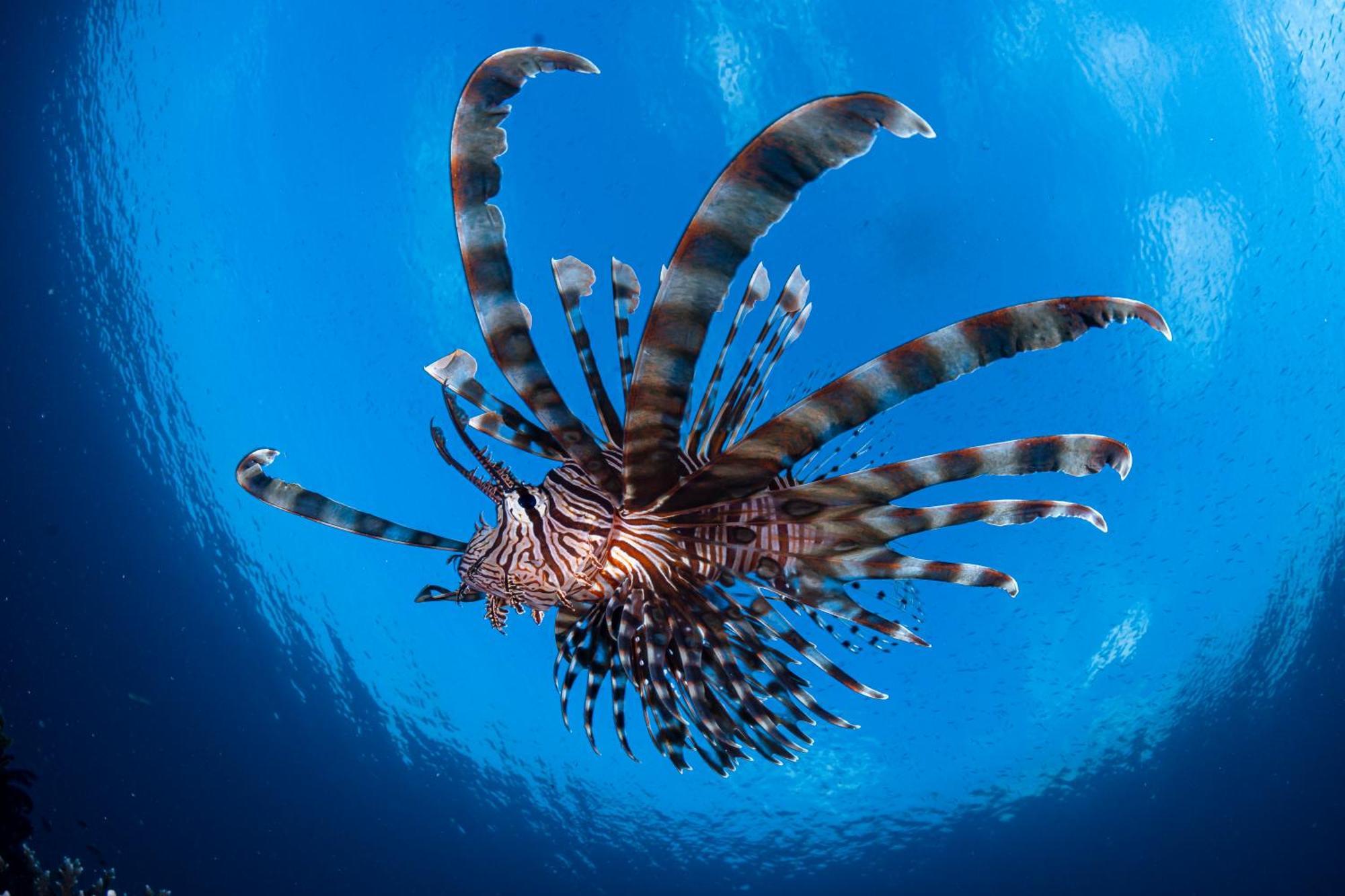 Emoha Dive Resort Сантандер Екстериор снимка
