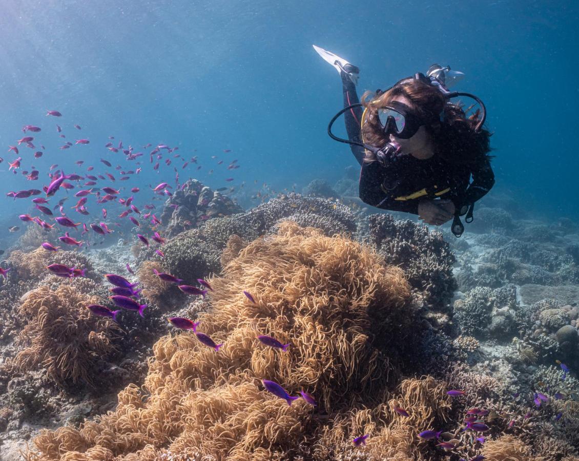 Emoha Dive Resort Сантандер Екстериор снимка